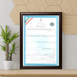 ثبت اختراع پولورایزر
