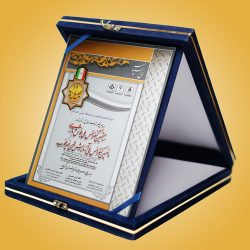 کنفرانس ملی جوش و بازرسی